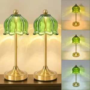 Tulip Glass Lamp Set