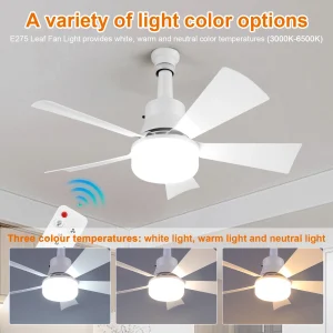 Socket Fan Light with Remote